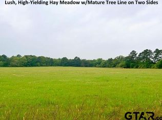 County Road 1185, Tyler, TX 75704