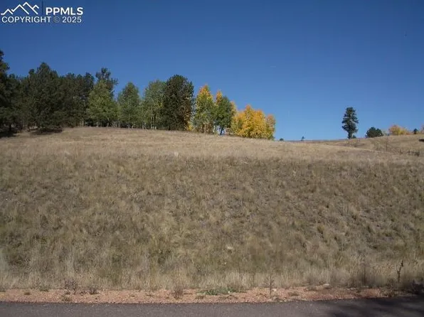 307 Pinaceae Hts, Divide, CO 80814