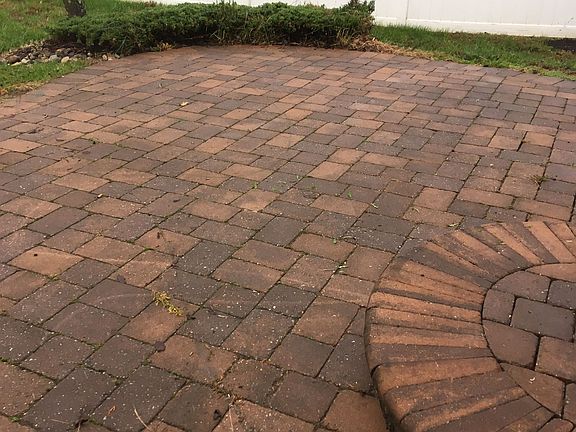3rd image of 124 Sequoia Dr