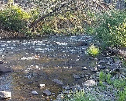 5th image of 45942 N Gate Creek Rd