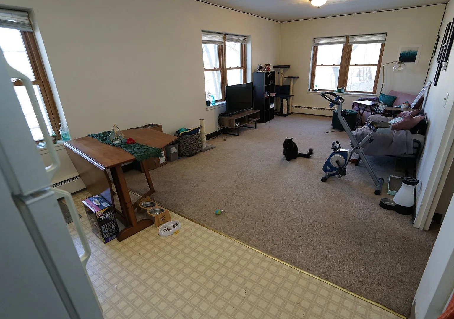 425 — Photo 4