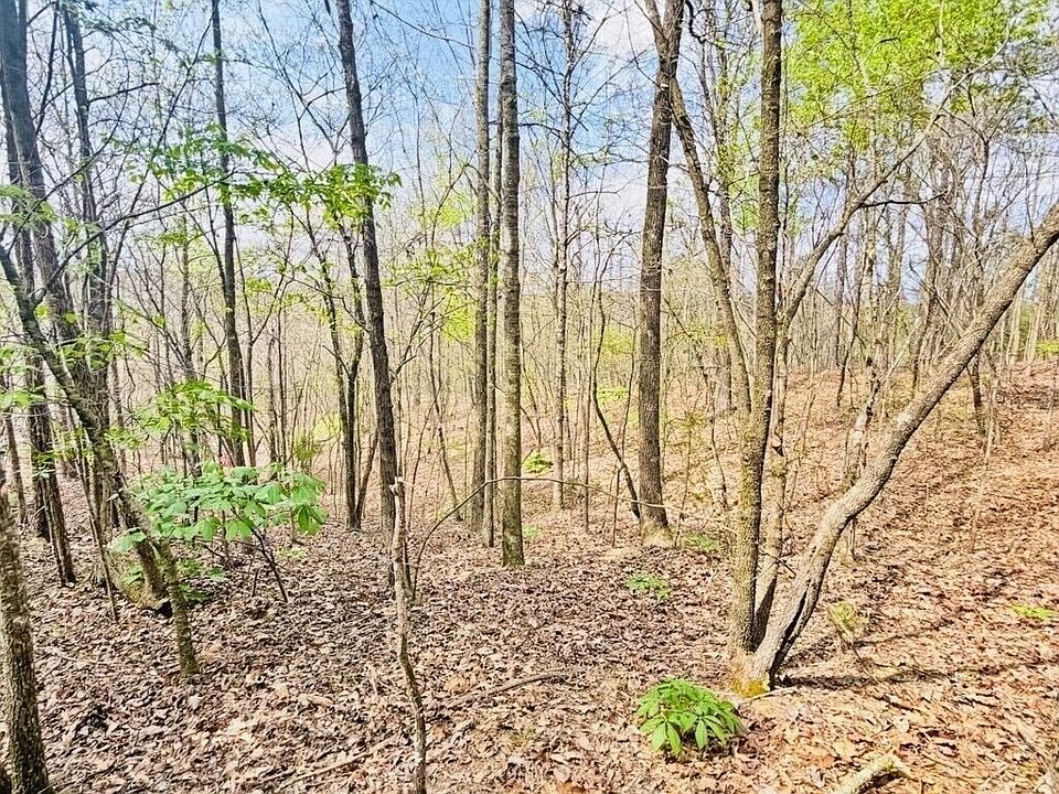 1st image of 0 T Johnson Rd NE