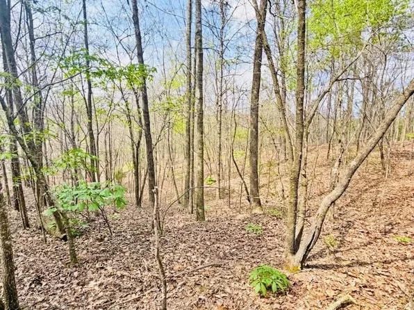 0 T Johnson Rd NE, Ranger, GA 30734