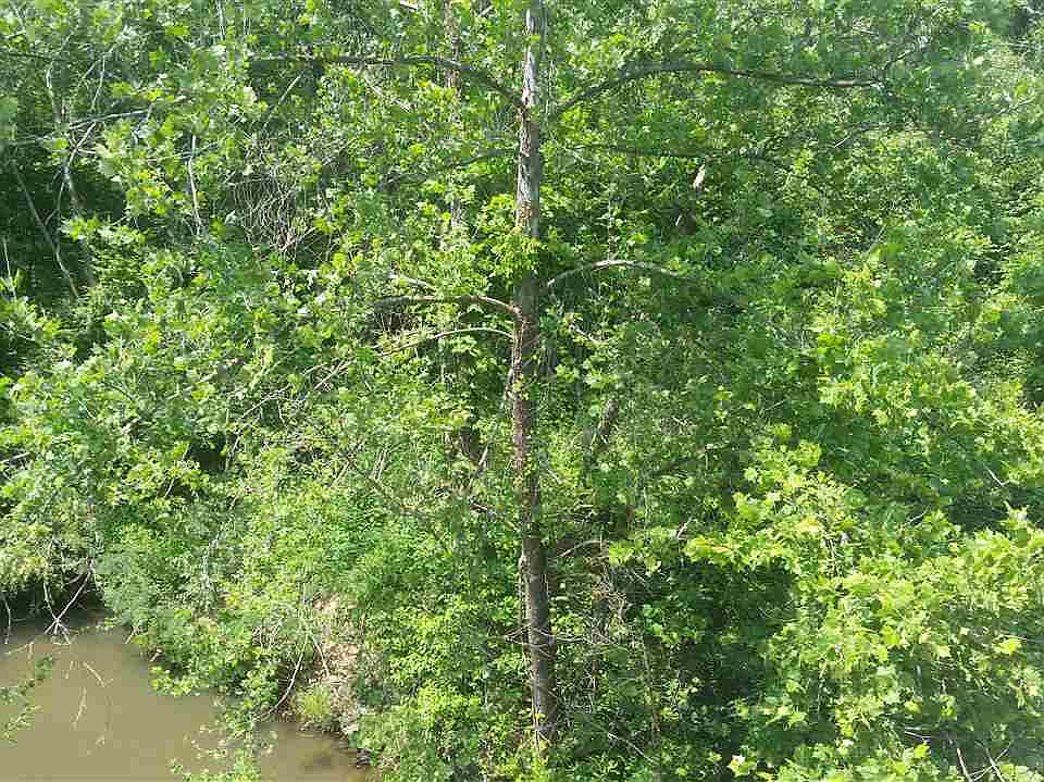 2nd image of 126 N Horseshoe Bridge Rd