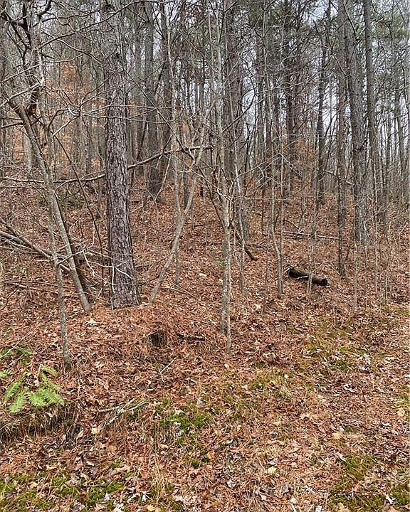 1st image of 529 Debord Dr Lot 0