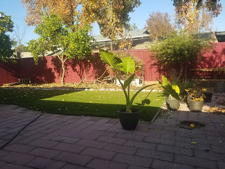 775 Beryl Pl — Photo 12