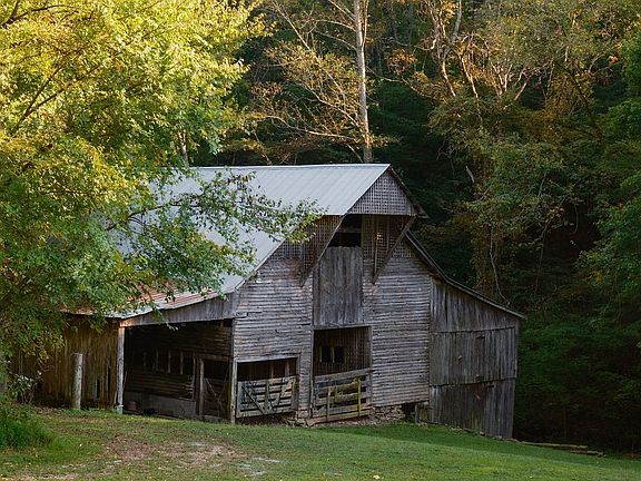 47th image of 3685 Martin Ervin Rd