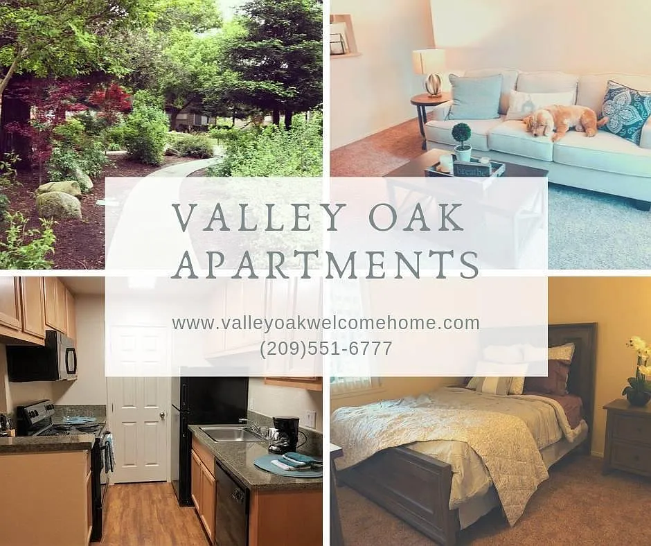Valley Oak — Photo 4