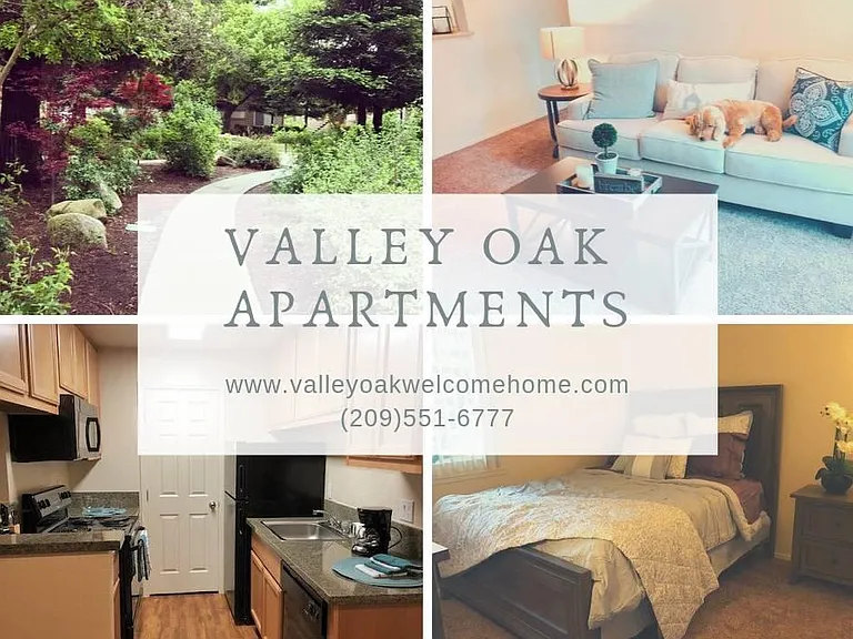 Valley Oak — Photo 4