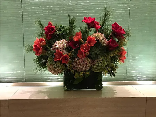 Rented by R New York | media 24