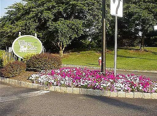 1st image of 105 Kelly Dr