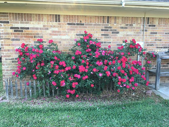2nd image of 2917 Columbine Dr