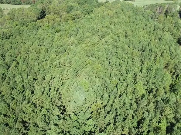 0 Deep Creek Rd, Kents Store, VA 23084