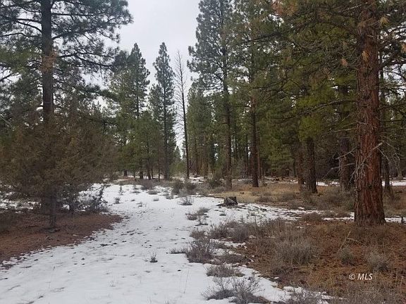 4th image of 10/AC County Road 133c