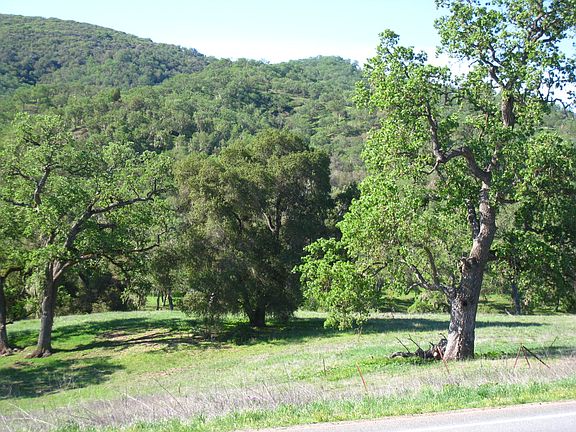 5th image of Nacimiento Lake Dr