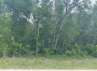 33237 Easter Dr #1, Webster, FL 33597