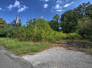 295 Scenic Lakeview Dr, Spring City, TN 37381