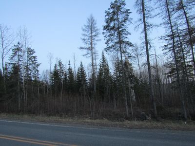 9999 Beaulieu Rd, Caribou, ME, 04736