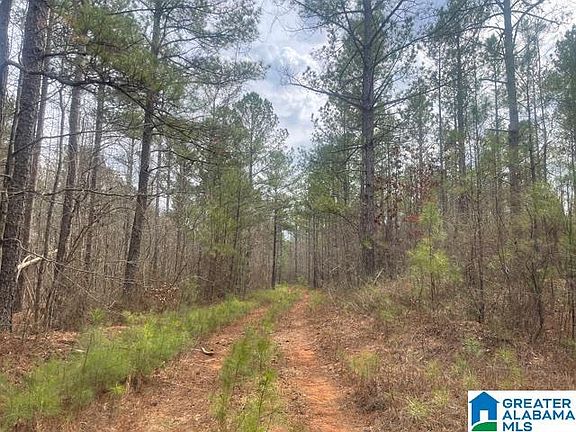 2nd image of 2505 County Road 632