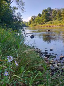 X 185th St, Milaca, MN, 56353