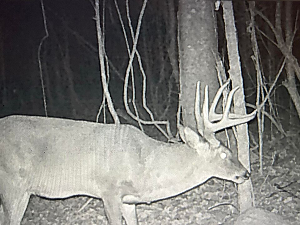 43rd image of this home