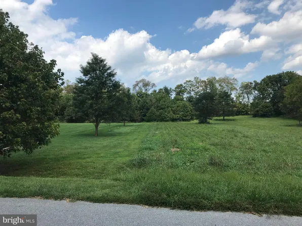 8317 Prophet Acres Rd Lot 11, Fairplay, MD 21733
