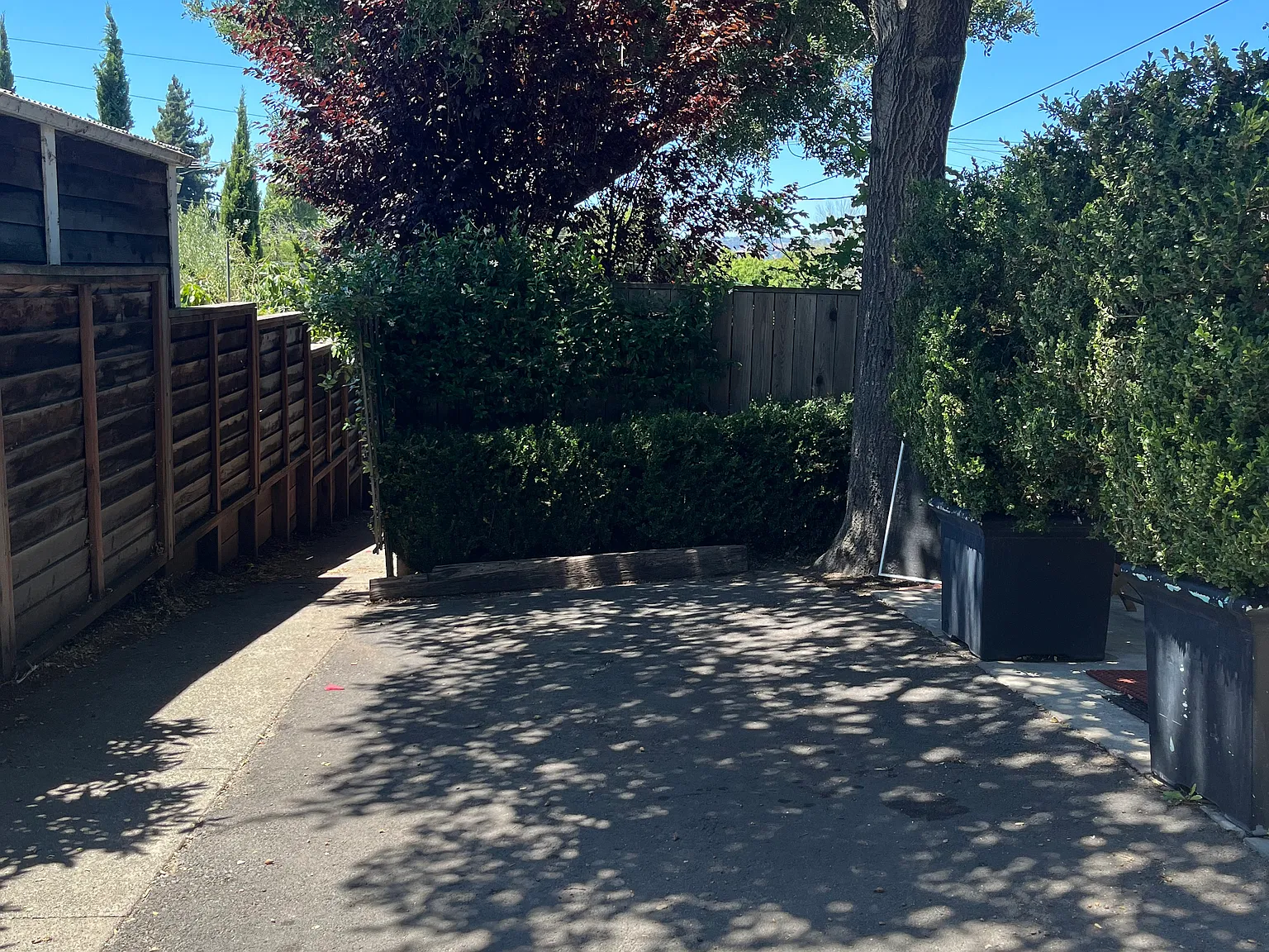 1101 Evans Ave — Photo 4