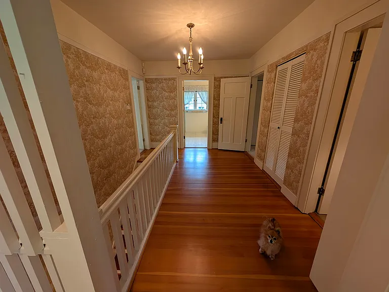 4 Marguerite St — Photo 20