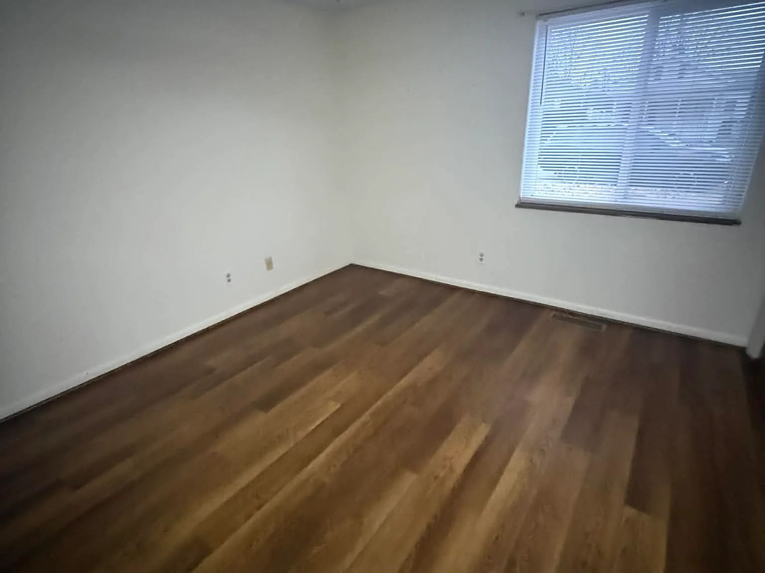 1 bed, 550 sqft, $800 — Photo 1