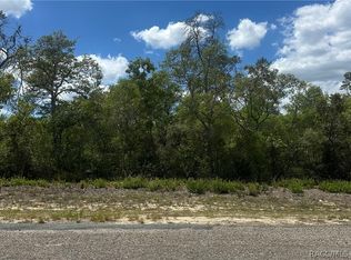8036 N Wayside Ave, Citrus Springs, FL 34433
