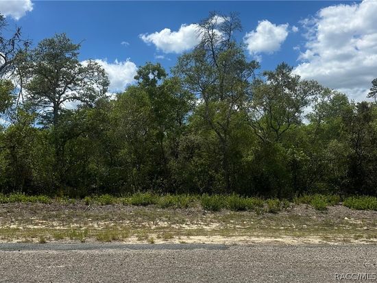 8036 N Wayside Ave, Citrus Springs, FL 34433