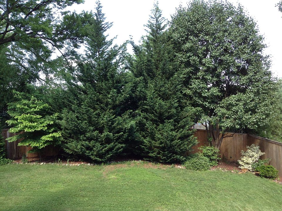 2nd image of 1933 Hillside Dr