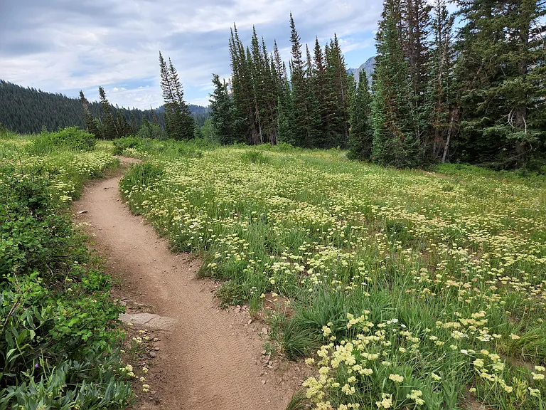 12082 E Big Cottonwood Canyon Rd — Photo 11