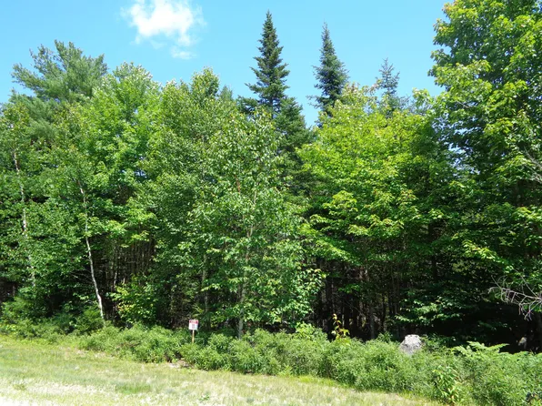 Lot 11 Bailey Mountain Road, Franklin, ME 04634