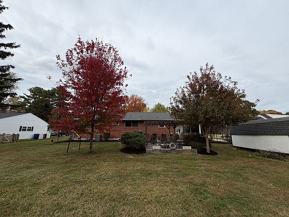Back yard