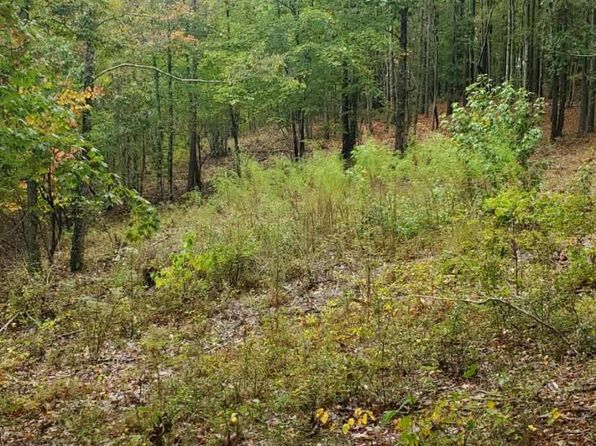 0 Browns Trace Rd, South Pittsburg, TN 37380
