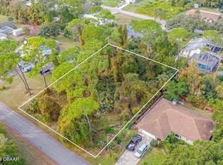 131 Poinciana Rd, Edgewater, FL 32141