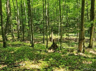 Tbd Pentoga Trl, Crystal Falls, MI 49920