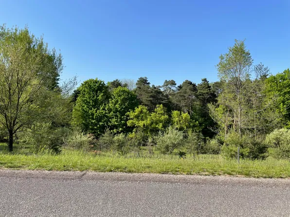 20720 Rolling Hills Ln, Big Rapids, MI 49307