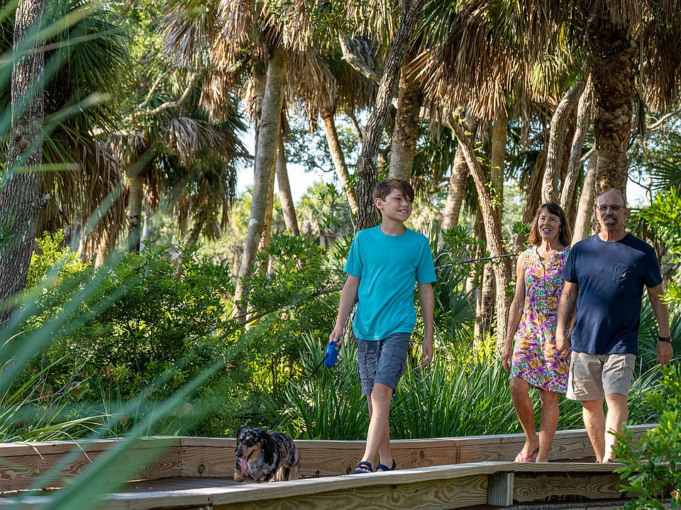 Boardwalk Nature Trail Seaglass