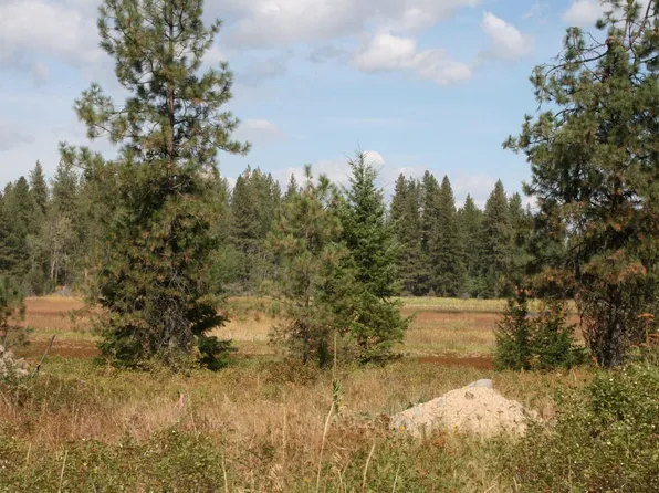 0 Little Sweden Rd Lot B, Valley, WA 99181