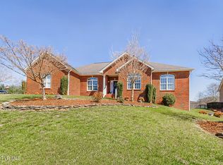 132 Sugarfield Ln, Blountville, TN 37617