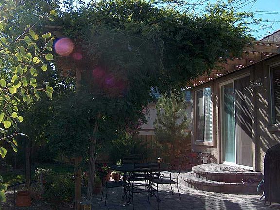 Back Yard to Patio