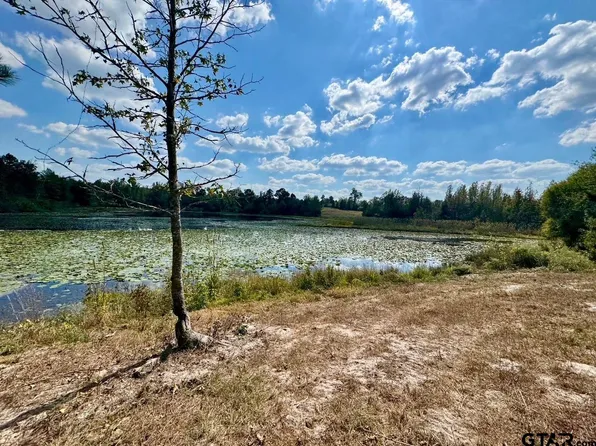 LOT 17 County Road 3545, Hawkins, TX 75765