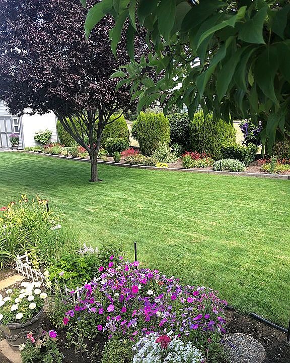 Back yard