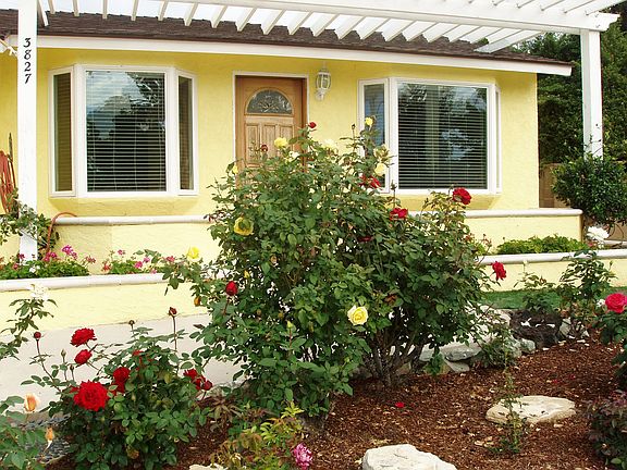 Front rose garden entry