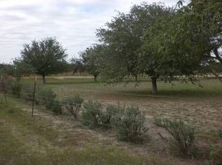 1005 S Abram Rd, Palmview, TX 78572