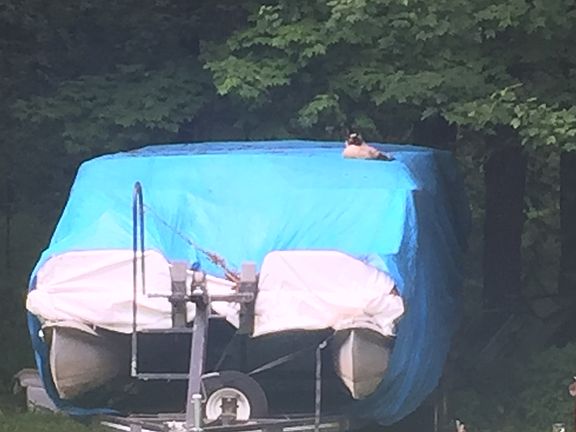 5th image of 8612 Township Road 1060