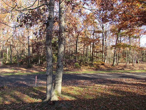 View from Front Door