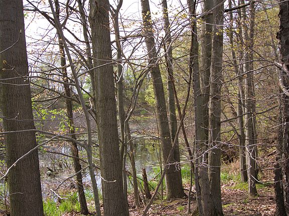 5th image of V/l Frost Rd